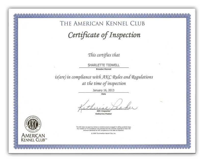 American Kennel Club Certificate