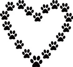 HeartInPaws